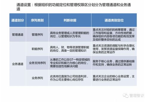 資產管理公司職業發展體系解析